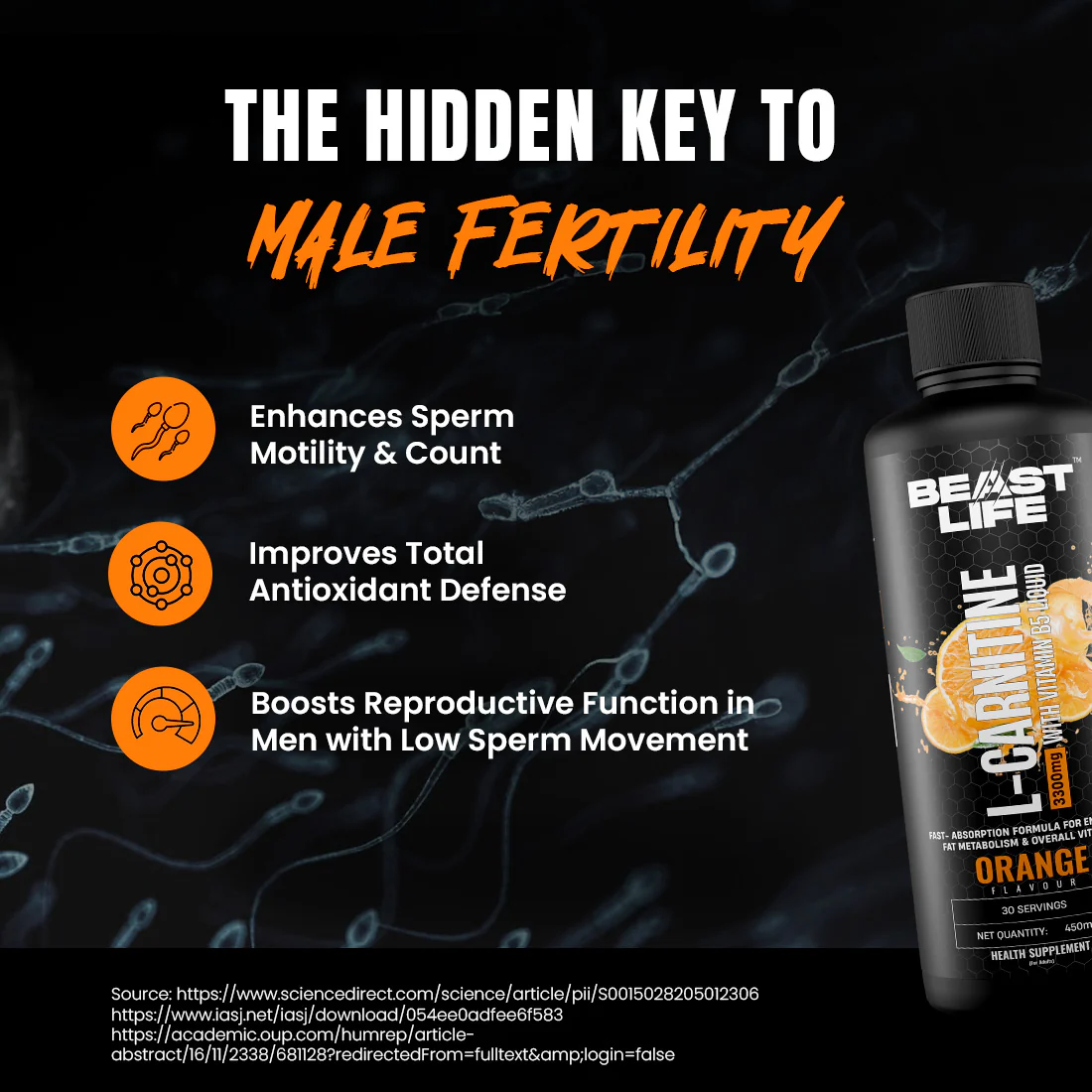 L-Carnitine with Vitamin B5 1100 mg | Orange | 450 ml - Image 7