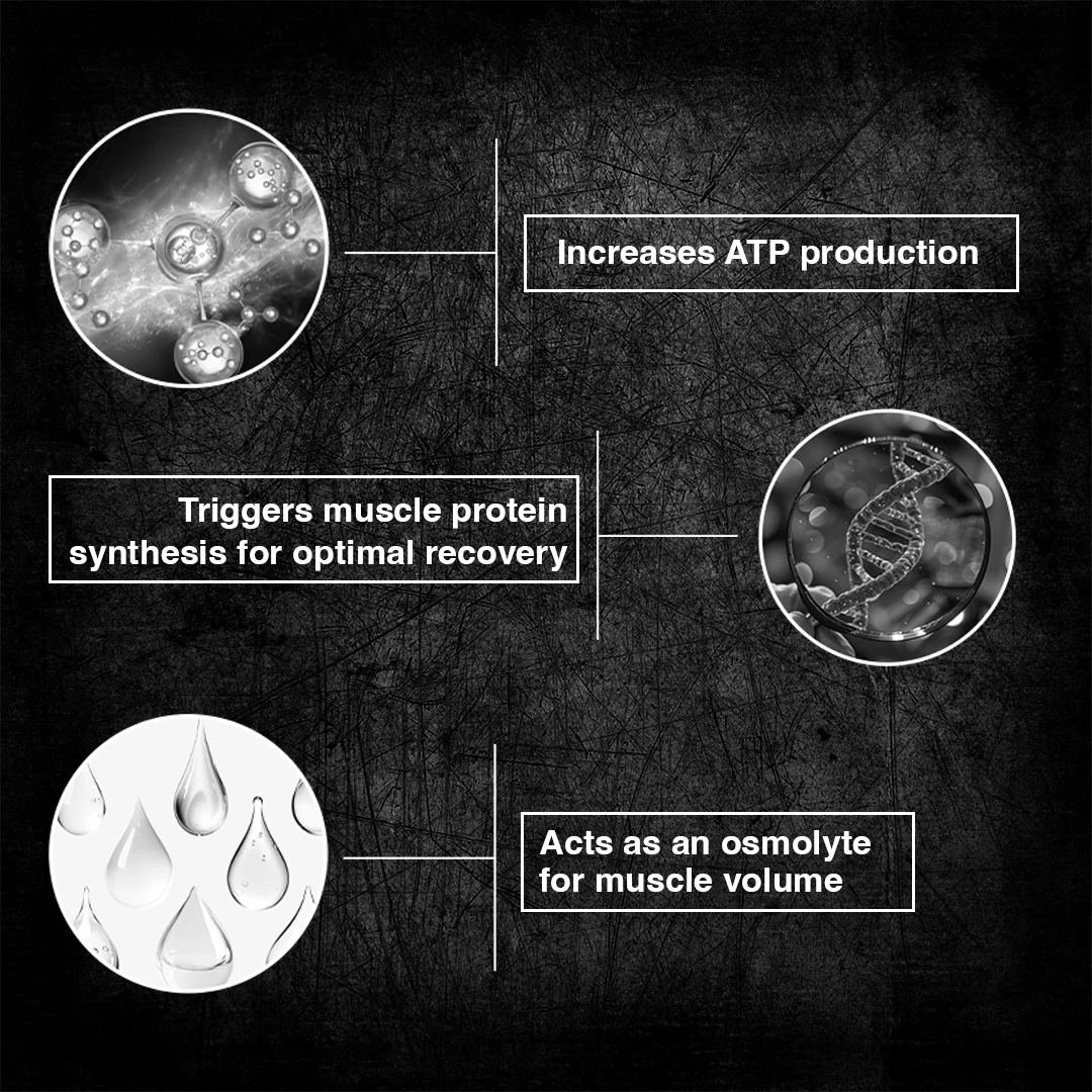Creatine Monohydrate | Shikanji | 125 g - Image 7