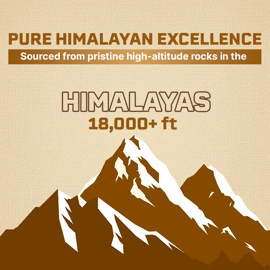 Himalayan Shilajit+ Capsules | 60 N - Image 4