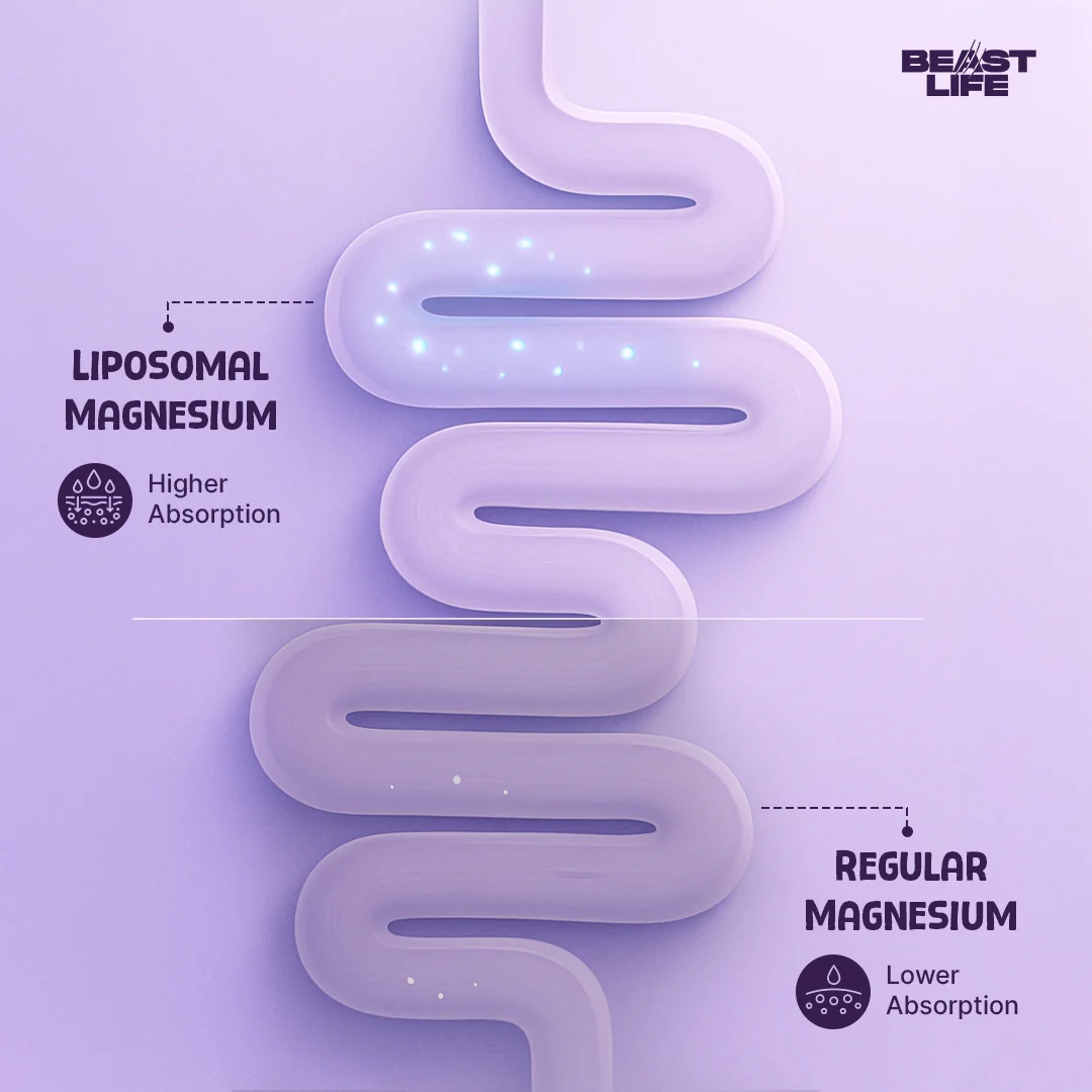 Liposomal Triple Magnesium+ | 90 Day Pack - Image 10