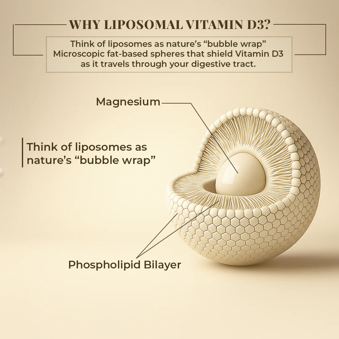 Liposomal Vitamin D3 Capsules | 60 N - Image 4